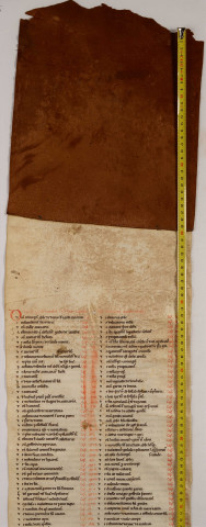 Cartulaire de l'abbaye de Notre-Dame du Ronceray, en six rouleaux opisthographes. « Quintus rotulus » : longueur 5,100 m. Cent chartes, table en tête.