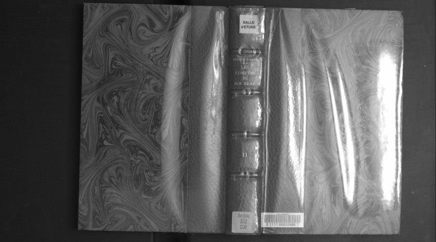 Les Comptes du roi René. Tome 2