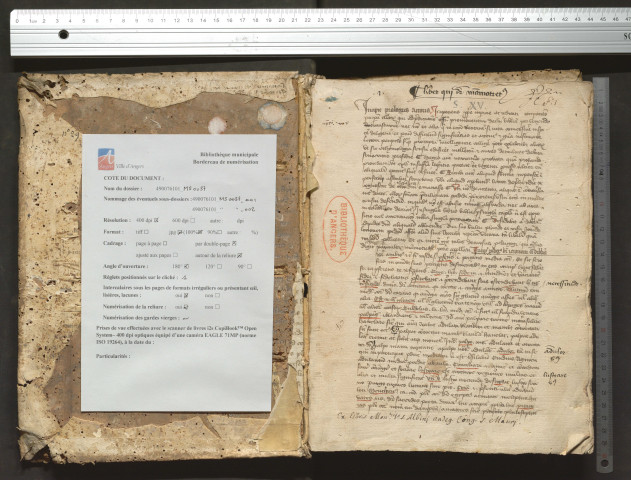 Jean Marchesini. « Liber qui dicitur Mammotrectus »