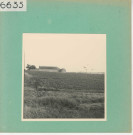 Rochefort-sur-Loire : Vignoble angevin, Quart de Chaume